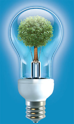 Visuel ampoule arbre