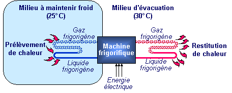 fluide