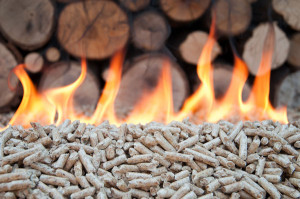 Chauffage biomasse : « gros potentiel de croissance, mais multiples obstacles »