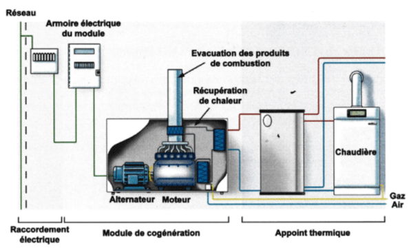 Du raccordement électrique du module de cogénération au réseau électrique