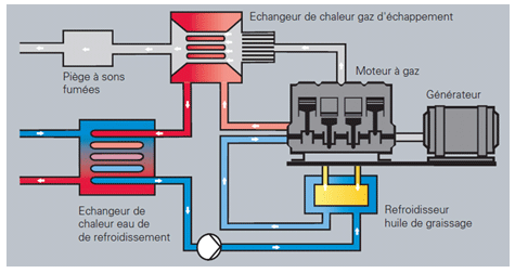 Micro/mini cogénération : principe Micro/mini cogénération : principe