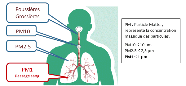 Pénétration de particules dans l’appareil respiratoire