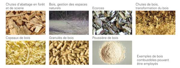 biomasse