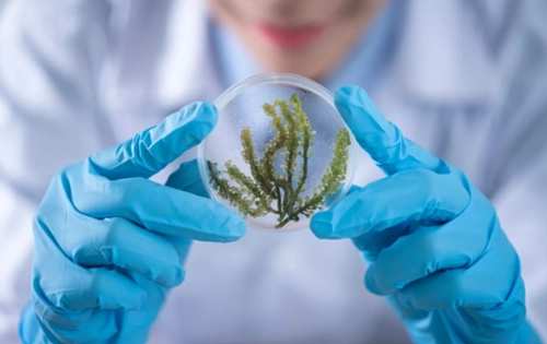 Salles blanches Humidification adiabatique