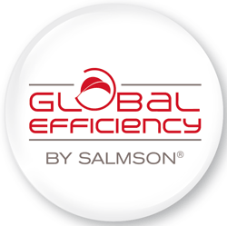 Logo Global Efficiency
