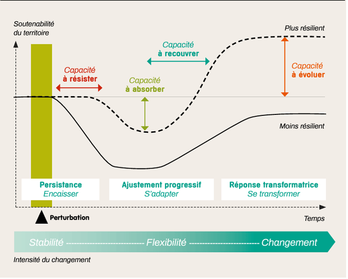 intensité changement stabilité flexibilité