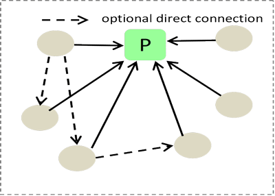 optional direct connection